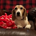 Tonya Agee - @ruby112617 - Instagram