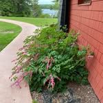 Tonya Barton Hazen - @tonyabartonhazen - Instagram