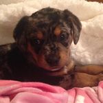 Tonya Bell - @belltonya64 - Instagram