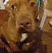Tonya Benson - Facebook