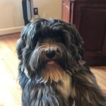 Tonya Benson - @tonyabenson2018 - Instagram