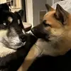 tonyablakely - @tonyablakely - TikTok