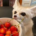 Tony - @tonya_bondar143 - Instagram
