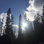 Tonya Bowser - @tonyapeaches20 - Instagram