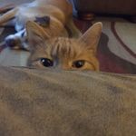 TonyaBray - @tonyabray - Instagram