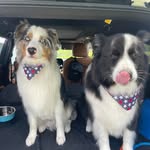 Tonya Langenbrunner - @tonyalangenbrunner - Instagram