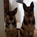Tonya Callan - Facebook