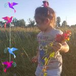 Sheila Cates - @catestonya - Instagram