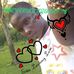 Tony Cruce - Facebook