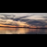 Tonya Collier Cryer - @tonyacryer - Instagram