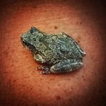 Tonya Cundiff - @tata_532 - Instagram