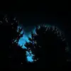 tonyacundiff - @bekindasshole0 - TikTok