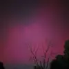 tonyadaugherty6 - @tonyadaugherty6 - TikTok