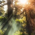Tonya Doty - @soulkeeper49 - Instagram
