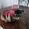 Tonya Edmonds - @catmom_143 - TikTok