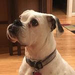 Tonya Ewing Rousmaniere Bowers - @evil.tonya - Instagram
