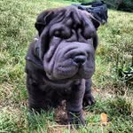 Tonya Friedman - @oligiole - Instagram