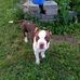 Tanya Gaddy - Facebook
