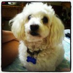 Tonya Goldhaber - @tonyagoldhaber - Instagram