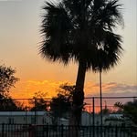 Tonya Hammel - @tonyahammel - Instagram