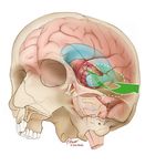 Tonya Hines - @tonyahinesgliamedia - Instagram