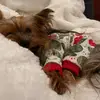 Tonya Schweihofer - @tonyaschweihofer - TikTok