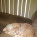 Tonya Hoff - Facebook