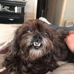 Tonya Hoffpauir - @hoffpauirtonya525 - Instagram