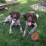 Tonya Hoffman - @hoffman7378 - Instagram