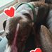 Tonya Holcomb - Facebook