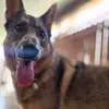 Tonya Howell Timm - @tonya.howell.timm - TikTok