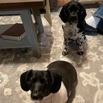 Tonya Hubbard - @tonyahubbard5 - Instagram