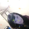 Tonya Huff - @tonyahuff821 - TikTok