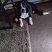Tonya Huffman - Facebook