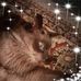 Tonja Isom - Facebook