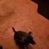 tonyajeter48 - @tonyajeter48 - TikTok