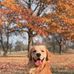 Tonya Joseph - Facebook
