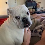 Tonya Kelsey Fuller - @herschel_adventure - Instagram