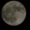 Tonya N Kemp - @tonya.n.kemp - TikTok