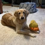 Tonya Kerns - @tjean729 - Instagram