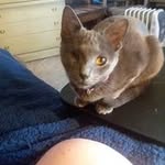 Tonya Key - @tonyakey612 - Instagram