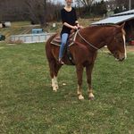 Tonya Lockhart - @daisyway10 - Instagram