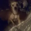 Tonya Mainor - @tonyamainor - TikTok