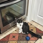 Tonya Masters-Crump - @tonyamc1216 - Instagram