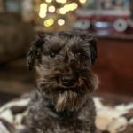 Tonya McLemore Conner - @tonconner - Instagram