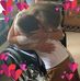 Tonya Marie Mobley - Facebook