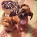 Tonya Moyer - Facebook