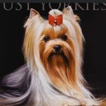 Tonya Permenter - @pawsnclaws65 - Instagram
