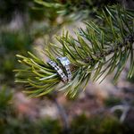 Tonya Phipps Photography - @tonya_phipps_photography - Instagram