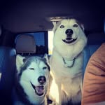 Tonya Pickens - @tonyappickens - Instagram